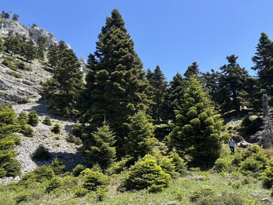 XIROVOUNI